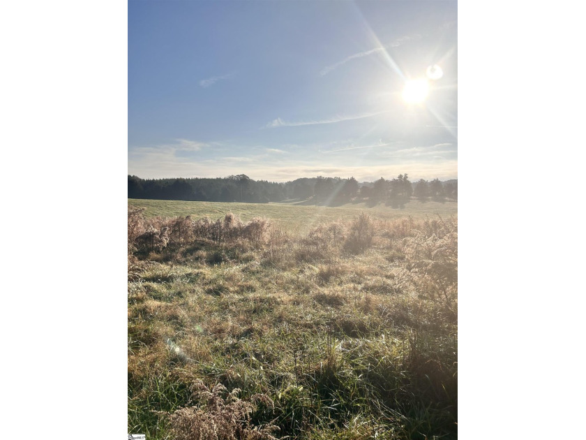 Lot 1 (refer to Aerial for additional parcels) Enjoy peaceful - photo 11