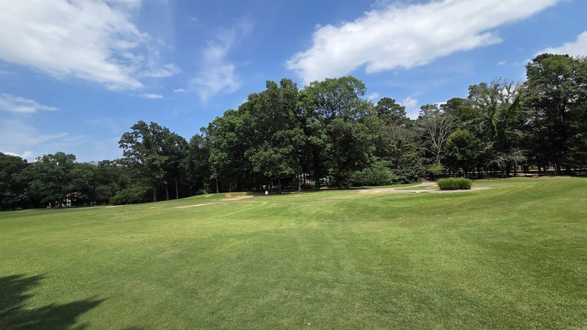 317 Castle Ridge Heights - Move-In Ready &amp; Mostly Furnished! - photo 33