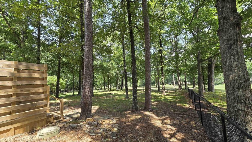 317 Castle Ridge Heights - Move-In Ready &amp; Mostly Furnished! - photo 41