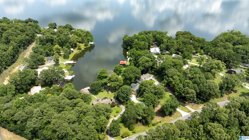 Great location, even better lake views! This move-in ready home - photo 3
