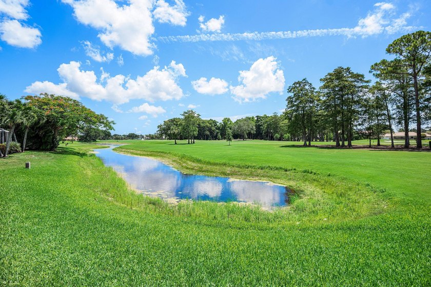 Perfectly positioned in the heart of Boca Woods Country Club - photo 33