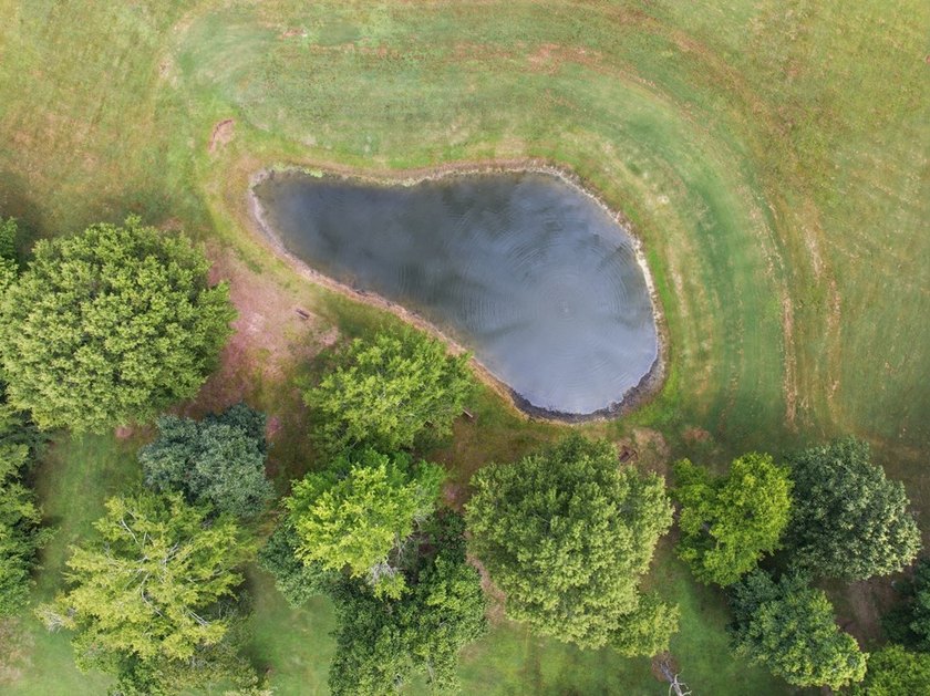 4BD/2.5BA home on 8.21 Acres zoned for Heritage Schools! - photo 42