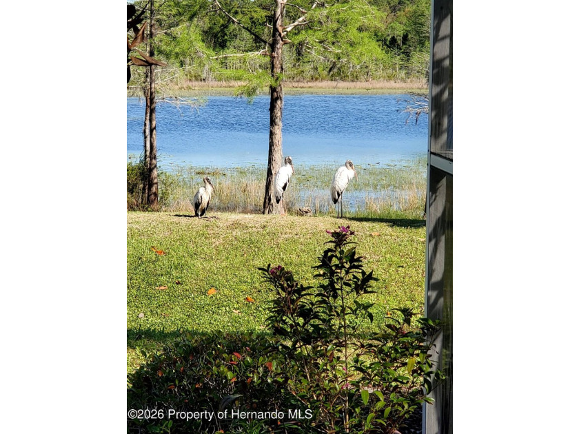 Welcome to this exceptional waterfront retreat, lovingly - photo 6