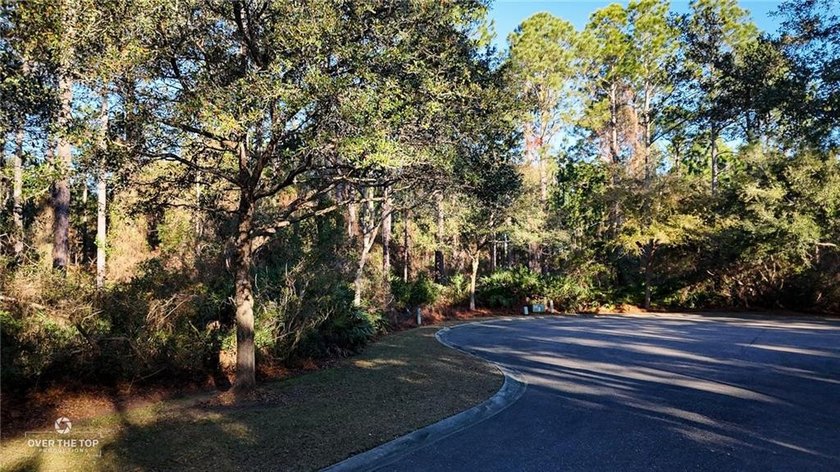 Build your custom coastal home on this 0.31-acre homesite - photo 3