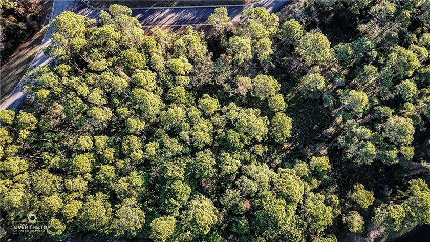Build your custom coastal home on this 0.14-acre homesite - photo 3
