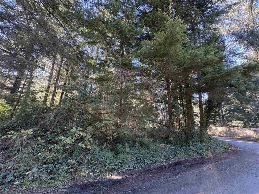 Tucked just outside of town, this serene one-acre parcel offers - photo 3