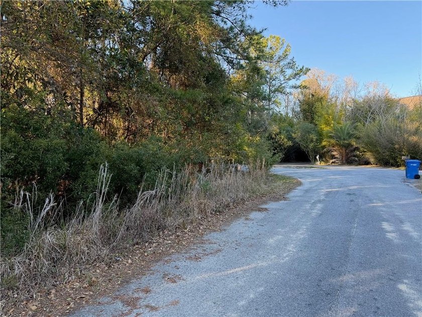 Beautiful buildable wooded lot tucked away on a quiet cul-de-sac - photo 3