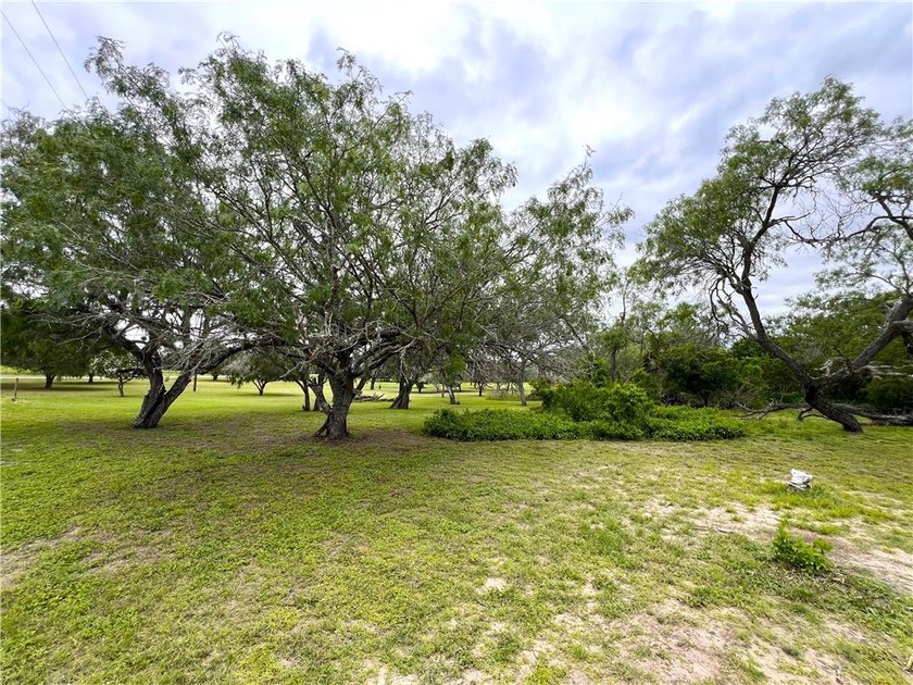 Embrace the natural scenic wildlife of country living on this - photo 30