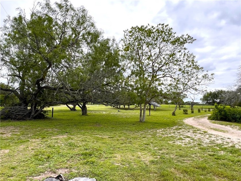 Embrace the natural scenic wildlife of country living on this - photo 32