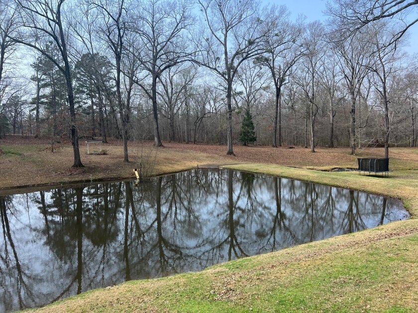 Discover your private sanctuary north of Natchez, perfectly - photo 4