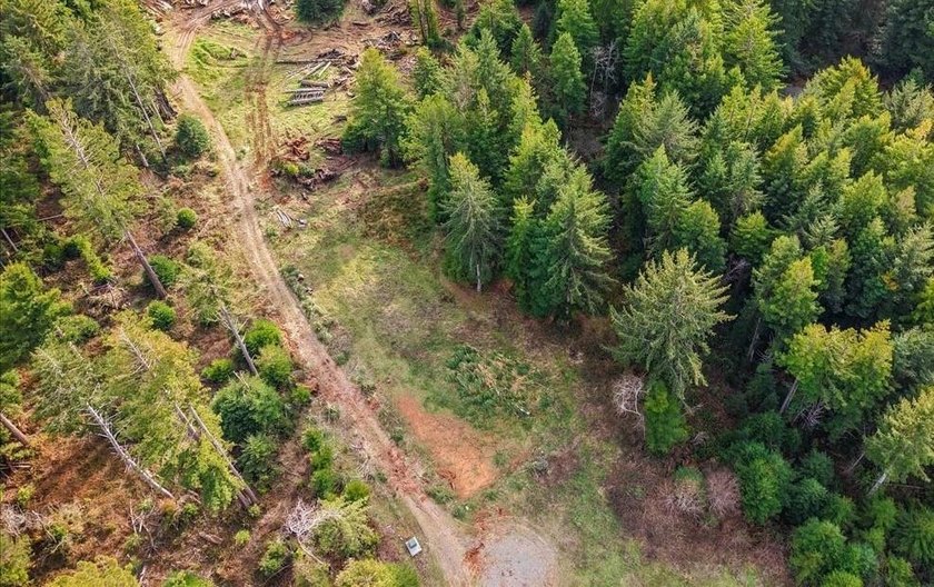 This Noel's Way property offers a rare 2-acre parcel surrounded - photo 3