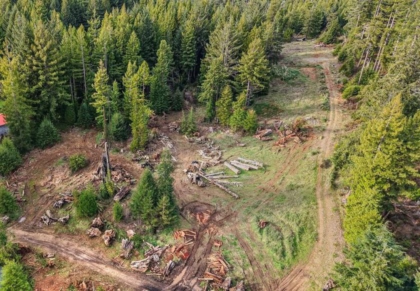 This Noel's Way property offers a rare 2-acre parcel surrounded - photo 4