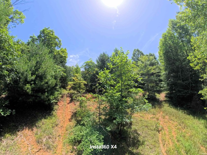 Escape to Paradise Near Lake Monroe! Discover 15+/- pristine - photo 11