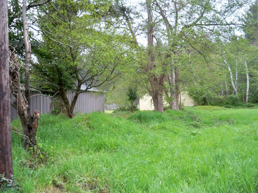 This property is located on Elk Valley Road and is ideal for a - photo 5