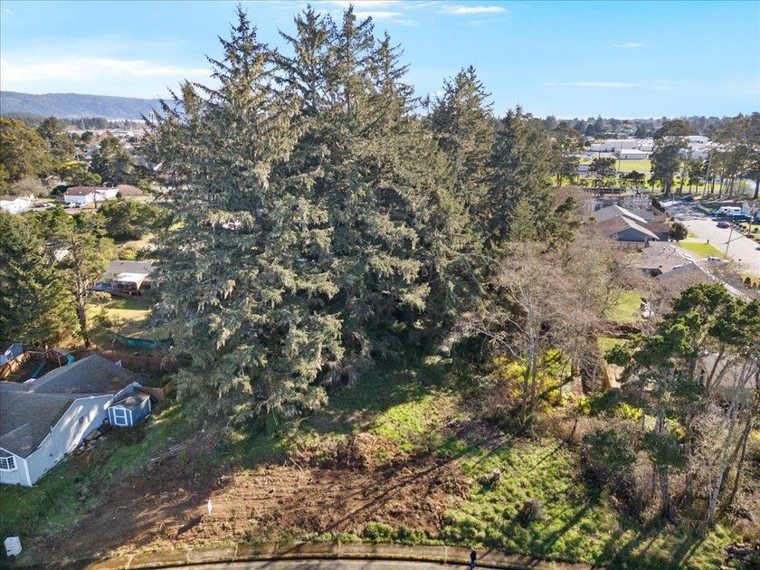 Build your new home in the desirable Washington Park subdivision - photo 4