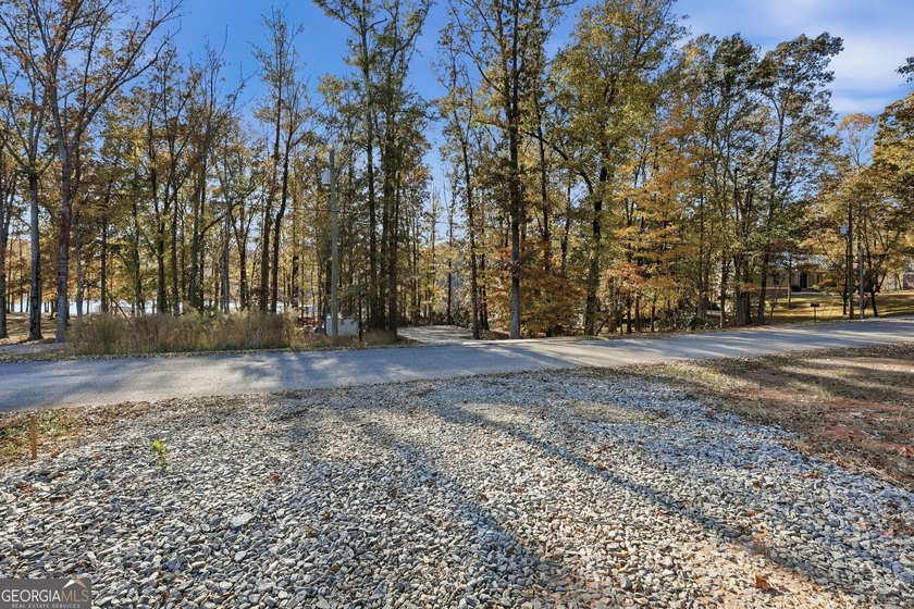 Lake Lanier New Construction offers a rare opportunity for the - photo 34