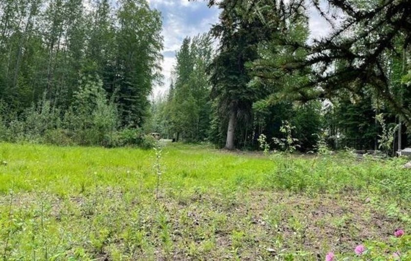 Great lot with a lot of building potential! Cozy lot that backs - photo 3