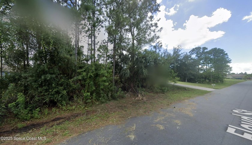 Vacant lot on a street with some very nice houses on it. 0.23 - photo 2