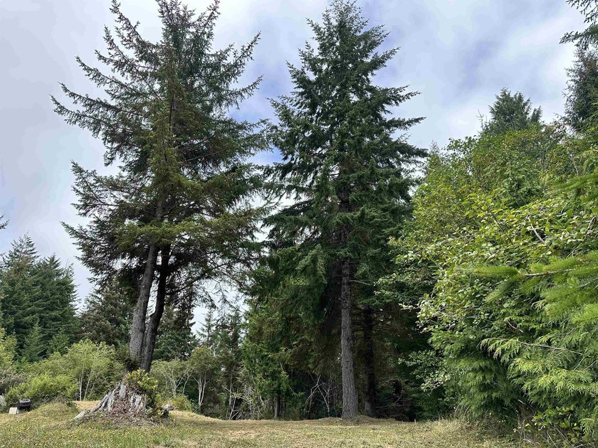 Build your dream home on this beautiful 2.12-acre parcel in - photo 6