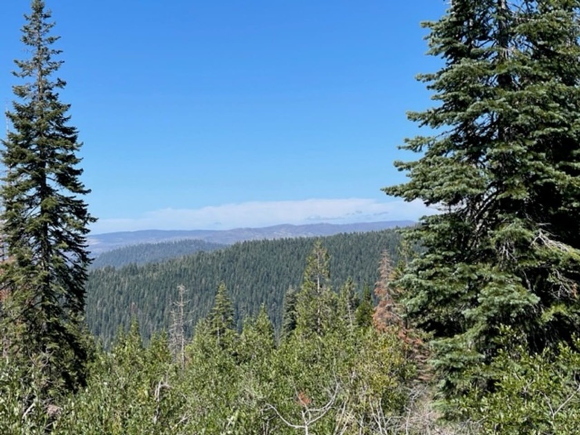 304 acres of incredible mountain property. Surrounded by USFS - photo 13