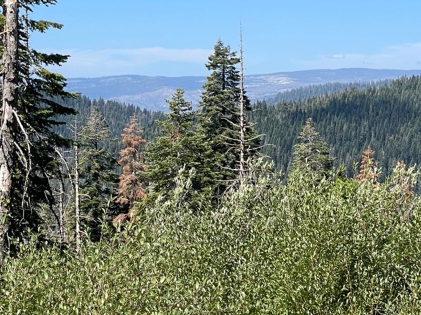304 acres of incredible mountain property. Surrounded by USFS - photo 14