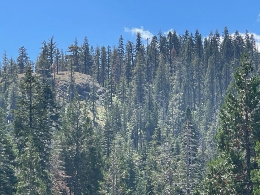 304 acres of incredible mountain property. Surrounded by USFS - photo 15
