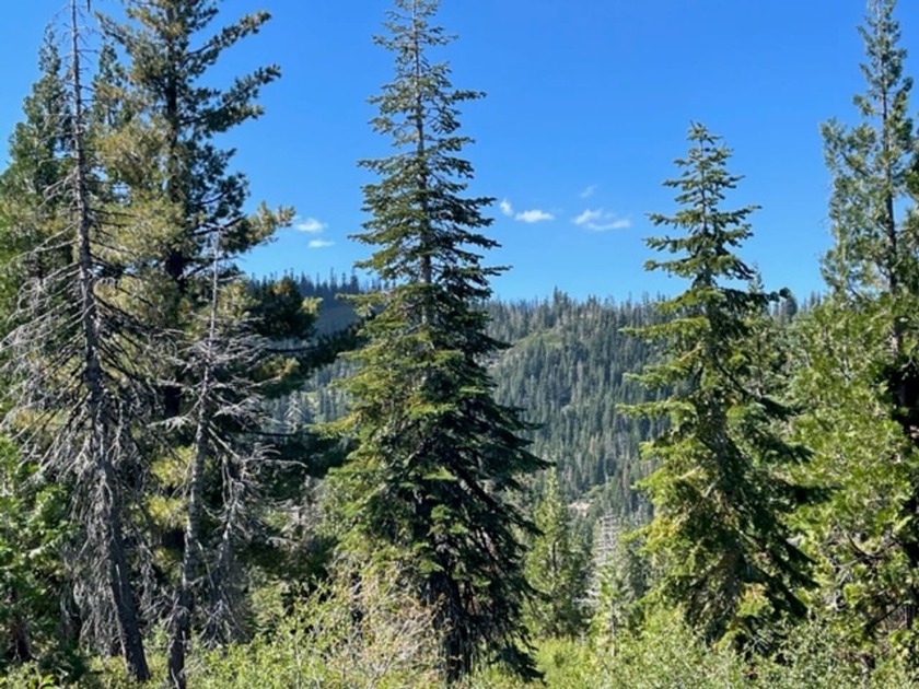 304 acres of incredible mountain property. Surrounded by USFS - photo 16