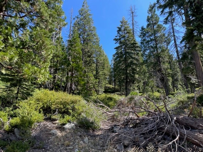 304 acres of incredible mountain property. Surrounded by USFS - photo 17