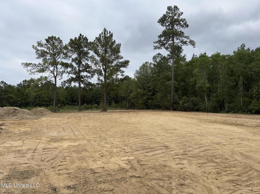 PRICED REDUCED !!! 32.24 Acres Ready for you to make it your own - photo 3