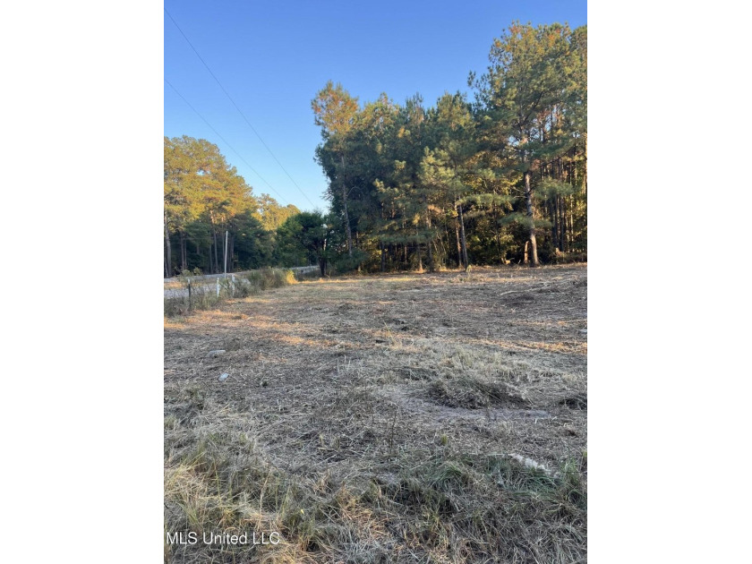 PRICED REDUCED !!! 32.24 Acres Ready for you to make it your own - photo 4