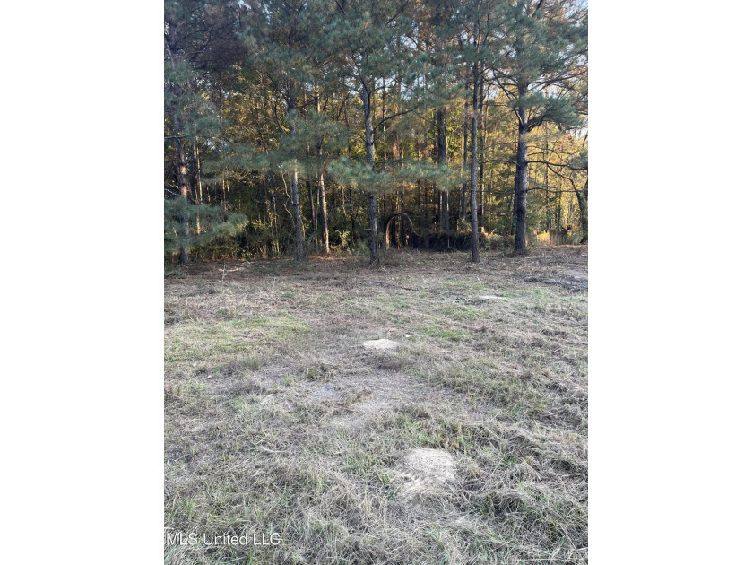 PRICED REDUCED !!! 32.24 Acres Ready for you to make it your own - photo 10