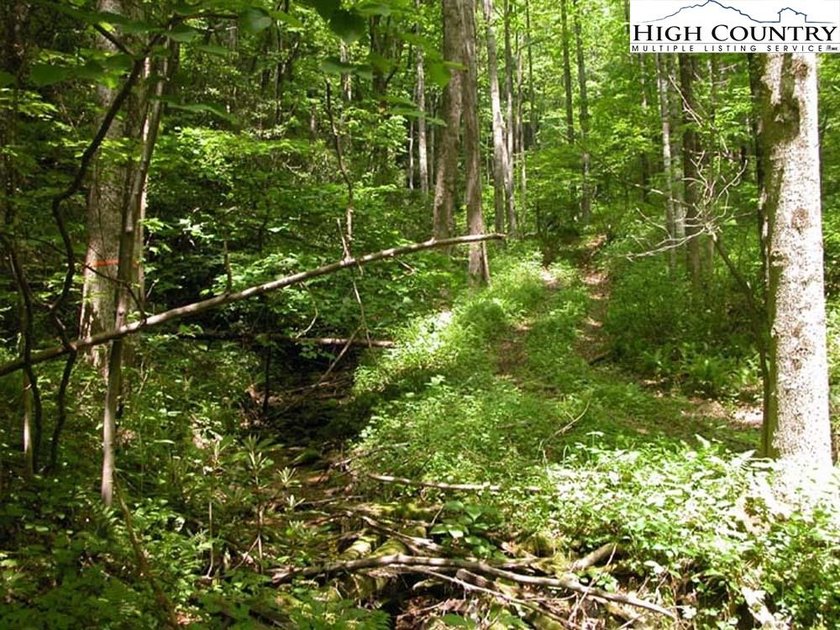 SPECTACULAR 63.90-ACRE TRACT WITH GORGE AND LONG-RANGE VIEWS! - photo 2