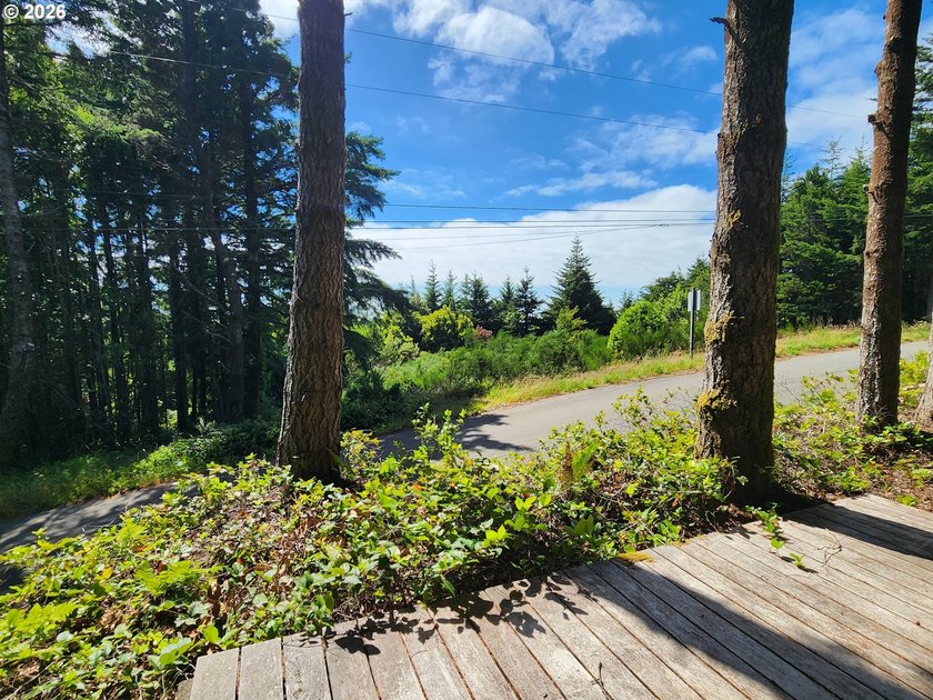 Perched above town with an Ocean views, this meticulously - photo 40