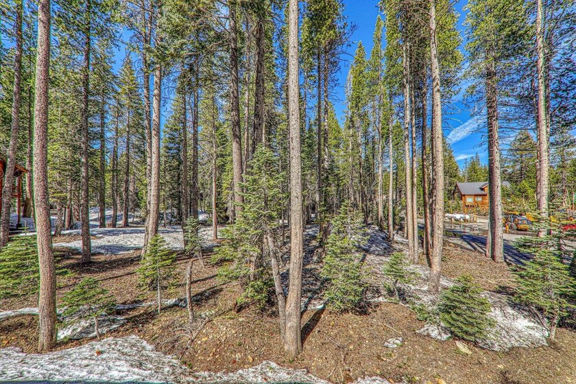 Build Your Serene Lakes Dream-Flat Lot, Walk to Lakes, Minutes - photo 2