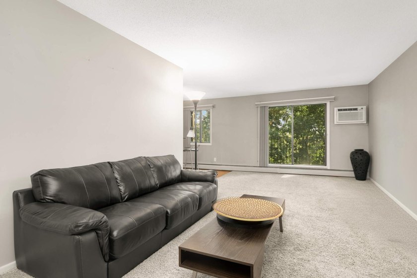Maintenance-free lake living at its best! This spacious 2BR/2BA - photo 5