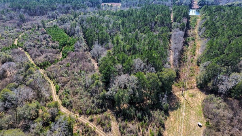 If you're looking for a ready-to-hunt, easy-to-enjoy property in - photo 8