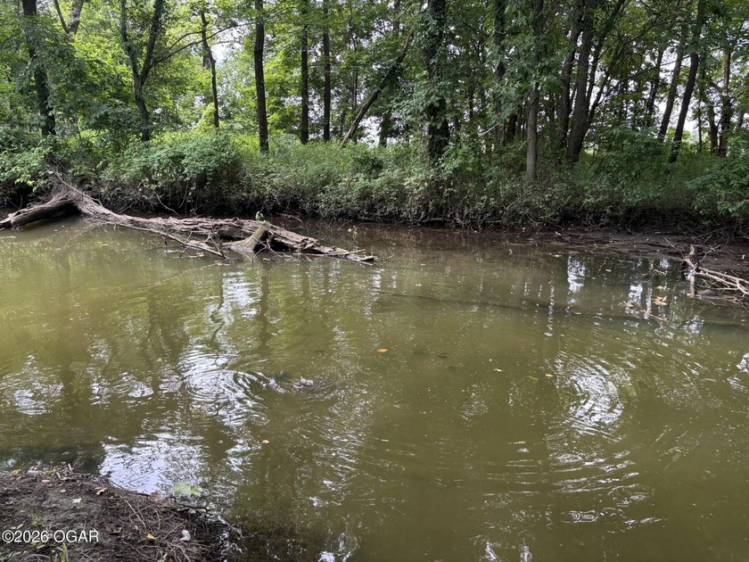 20 Acres at Shoal Creek and Spring River confluence - photo 7