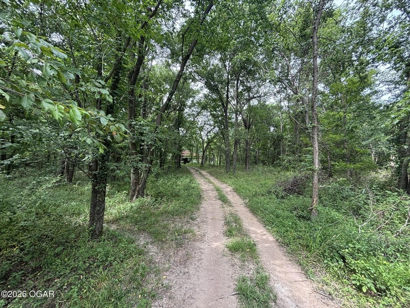 20 Acres at Shoal Creek and Spring River confluence - photo 8