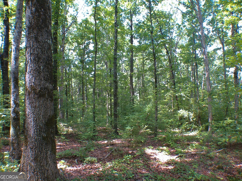 There are three tracts, tracts 3,4 and 6. Total 19.38 acres - photo 7