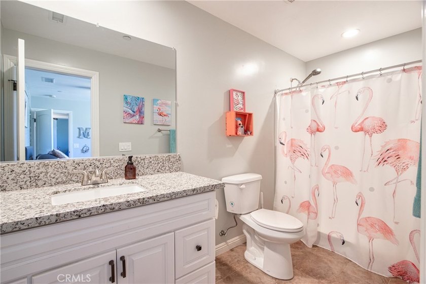 42385 Roundup - photo 32