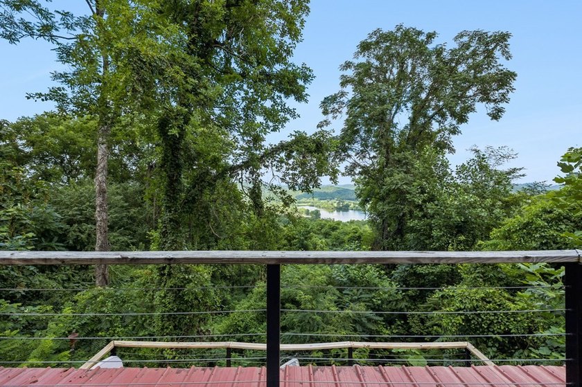 Secluded hillside retreat overlooking beautiful Cordell Hull - photo 45