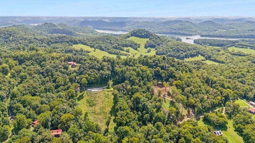 Secluded hillside retreat overlooking beautiful Cordell Hull - photo 49