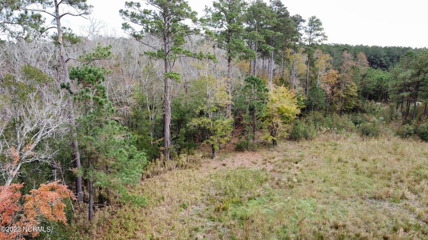 2.7 ACRE COASTAL PROPERTY FOR SALE IN BEAUTIFUL MERRIMON BAY! - photo 6