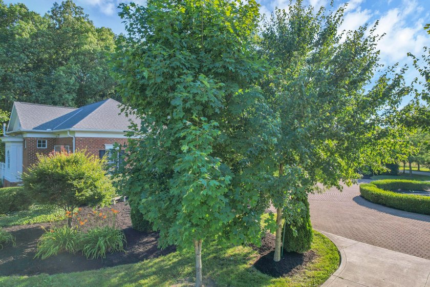 Stately Colonial Revival 25 acre estate featuring classic - photo 11
