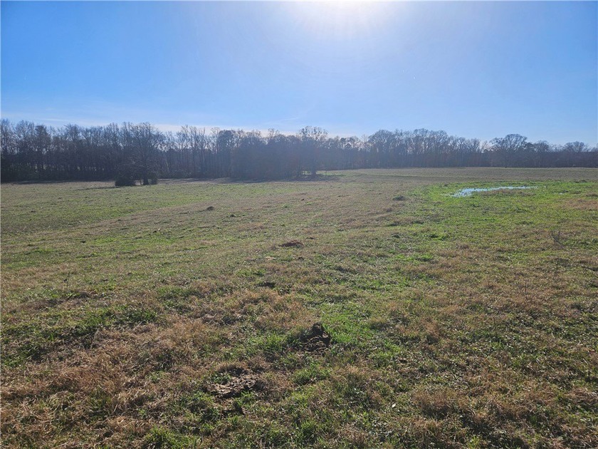 large cattle farm that is well over 100 acres. This property - photo 11
