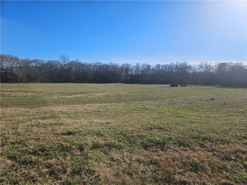 large cattle farm that is well over 100 acres. This property - photo 12