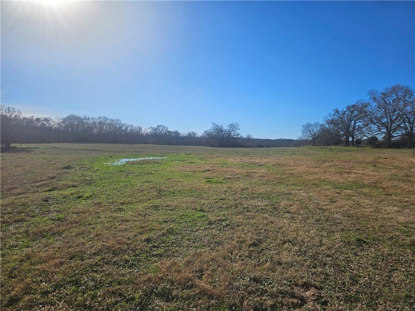 large cattle farm that is well over 100 acres. This property - photo 13