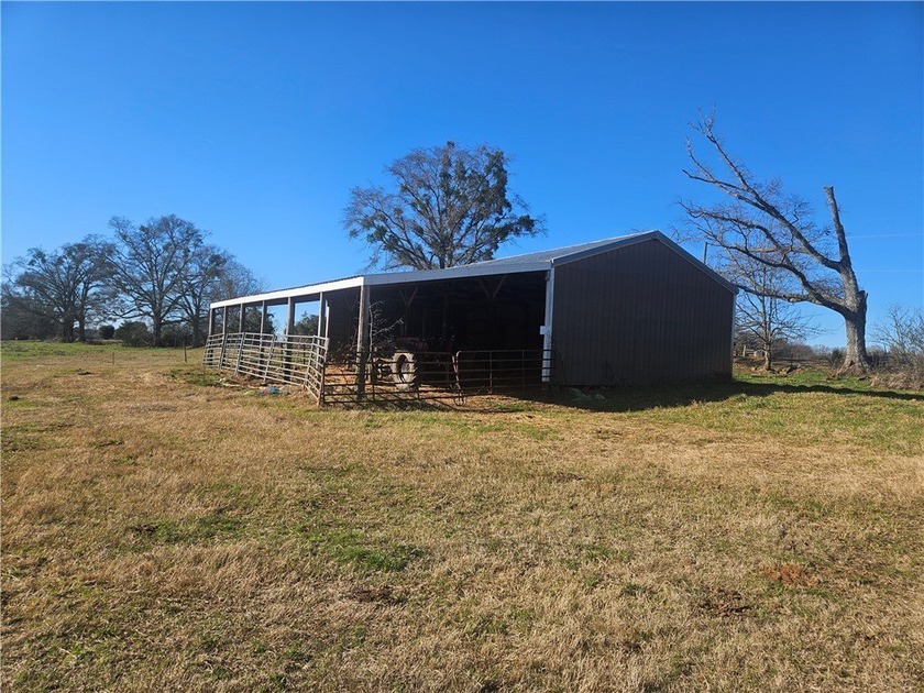 large cattle farm that is well over 100 acres. This property - photo 14