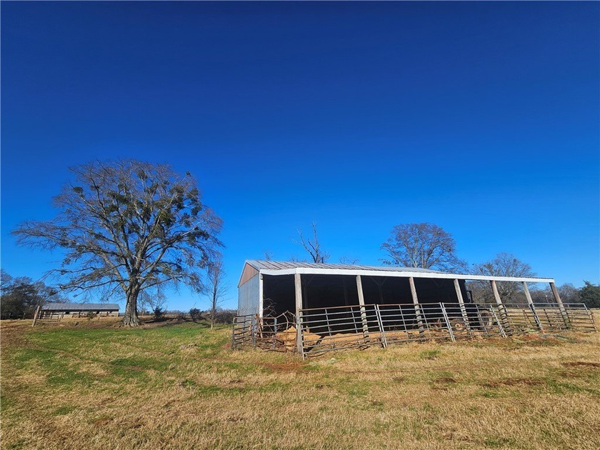 large cattle farm that is well over 100 acres. This property - photo 16