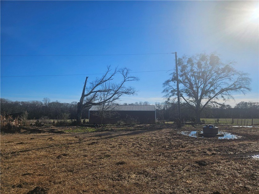 large cattle farm that is well over 100 acres. This property - photo 17
